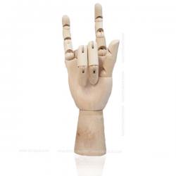 มือไม้โชว์เครื่องประดับ