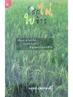 โสกไผ่ใบข้าว เดินผ่านโสกไผ่ ระบัดใบข้าว มีทุ่งพราวแห่งชีวิต จตุพร แพงทองดี