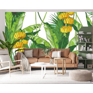 ภาพใบไม้ ต้นไม้ ป่าไม้ สไตล์โทรปิคอล