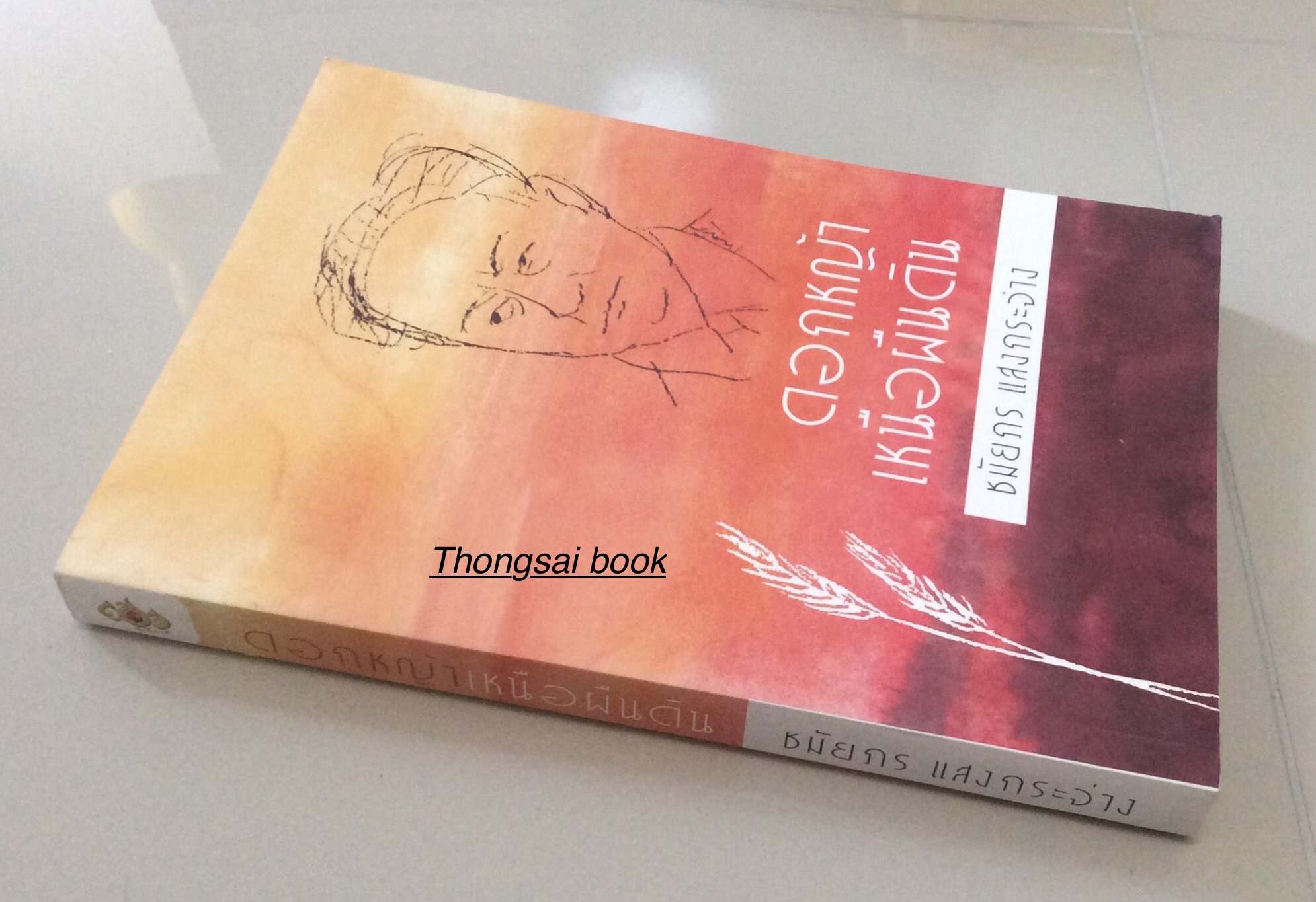 ดอกหญ้าเหนือแผ่นดิน นวนิยายประวัติ อาจารย์ป๋วย ชมัยภร แสงกระจ่าง