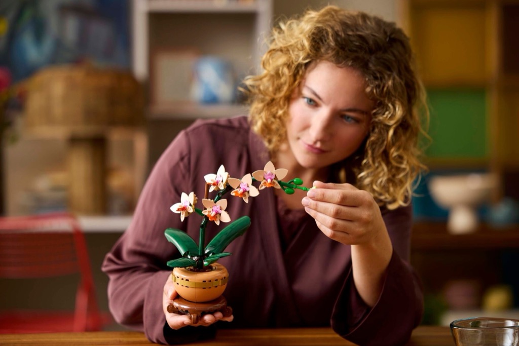 เลโก้ LEGO Exclusives 10343 Mini Orchid