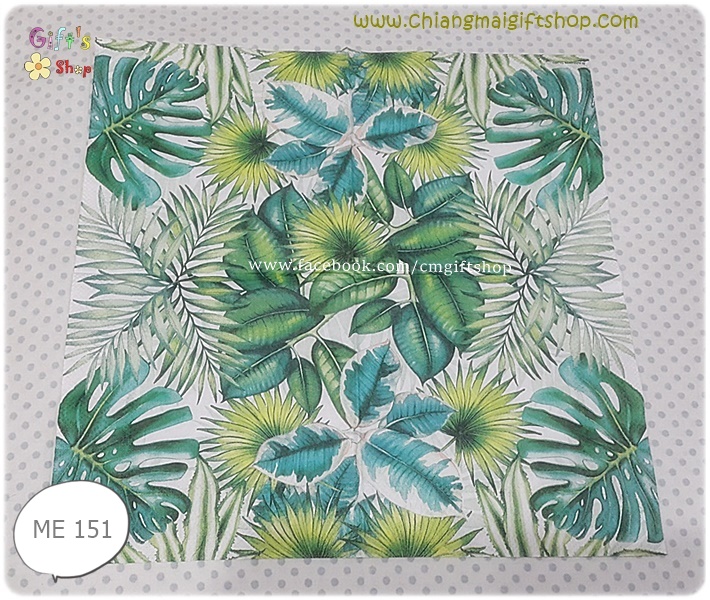 กระดาษแนปกิ้น ลายใบไม้แบบทรอปิคอล ใบไม้สีเขียวหลายแบบ สวนทรอปิคอล ใบไม้แฉกๆ พื้นหลังสีขาว Tropical leaves