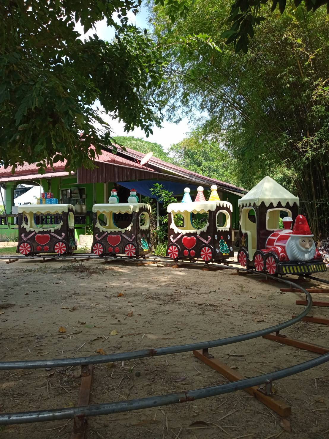 รถไฟราง รถไฟชมวิว ให้เช่ารถไฟ