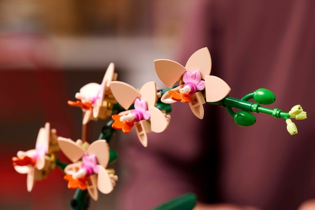 เลโก้ LEGO Exclusives 10343 Mini Orchid