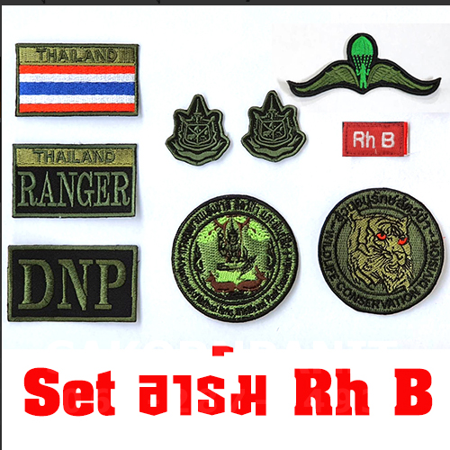 ชุดอาร์ม กรุ๊ปเลือด /ส่วนสัตว์ป่า สีเขียว (โปรโมชั่น)