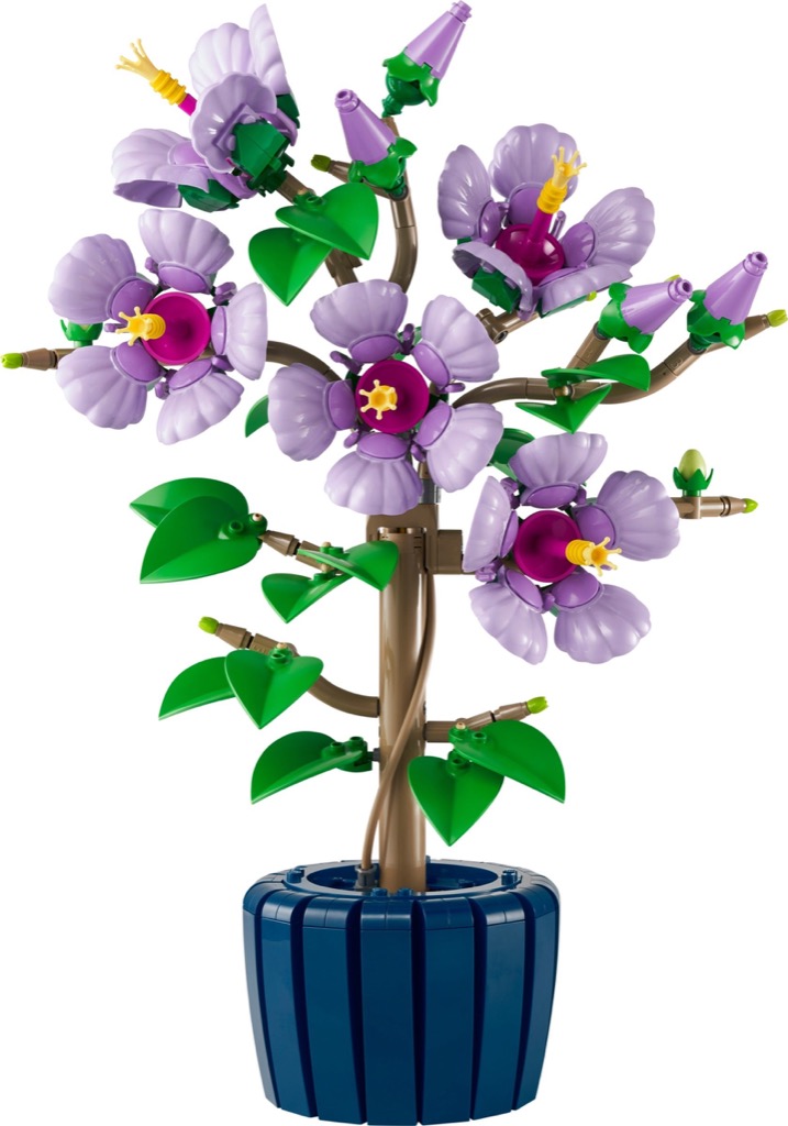 เลโก้ LEGO Exclusives 10372 Botanicals Hibiscus