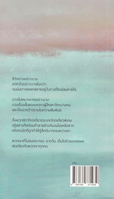 อาจไม่เหมาะหากเปราะบาง จิดานันท์ เหลืองเพียรสมุท