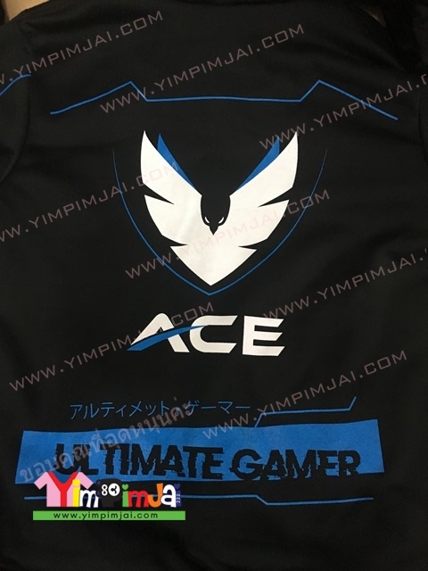 ตัวอย่างเสื้อฮู้ด AEC
