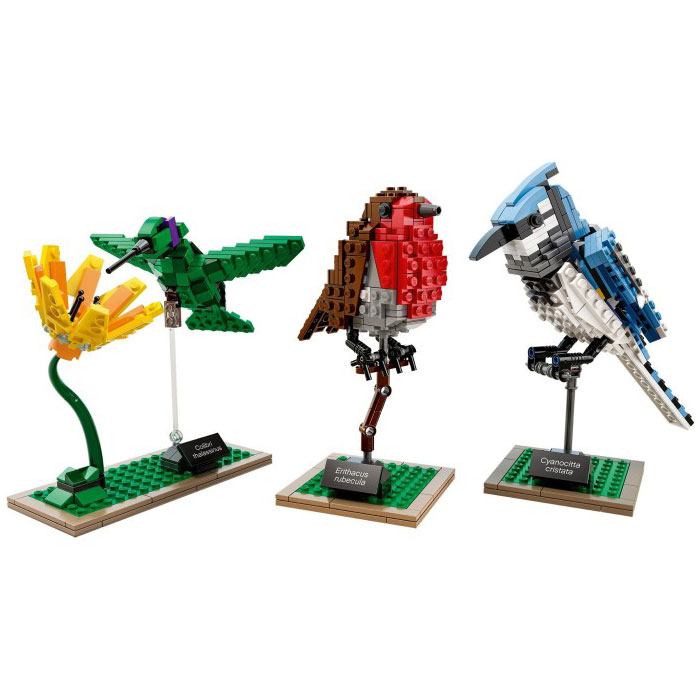 LEGO Ideas 21301 Birds