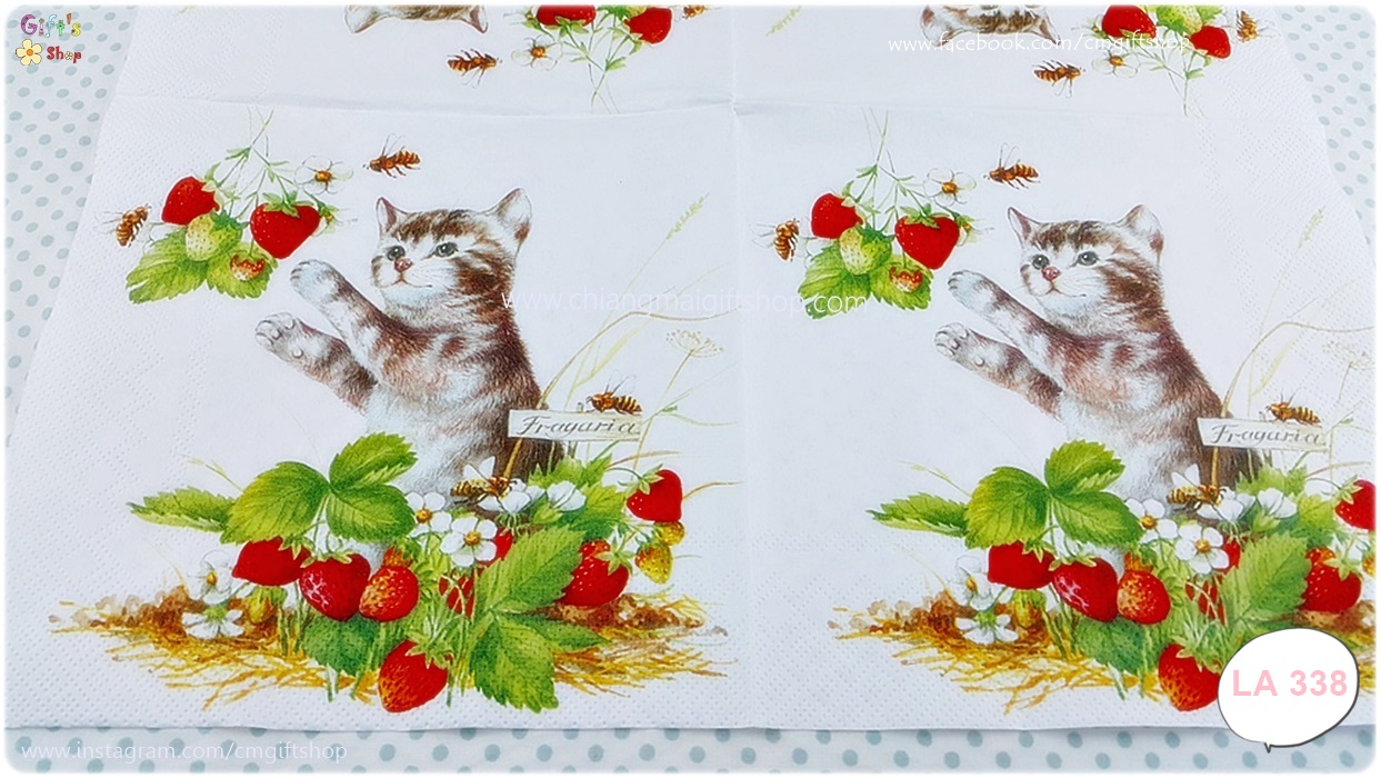 กระดาษแนปกิ้น ลายลูกแมว กับสตรอเบอร์รี่ พื้นหลังสีขาว Kitty and strawberries