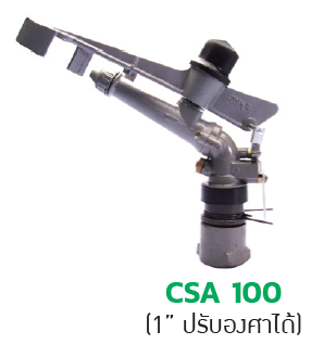 CSA 100