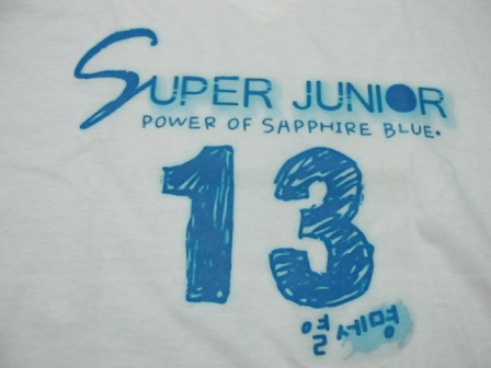 เสื้อสกรีนลาย SJ no 13
