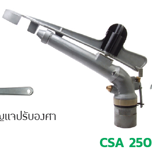 CSA 250