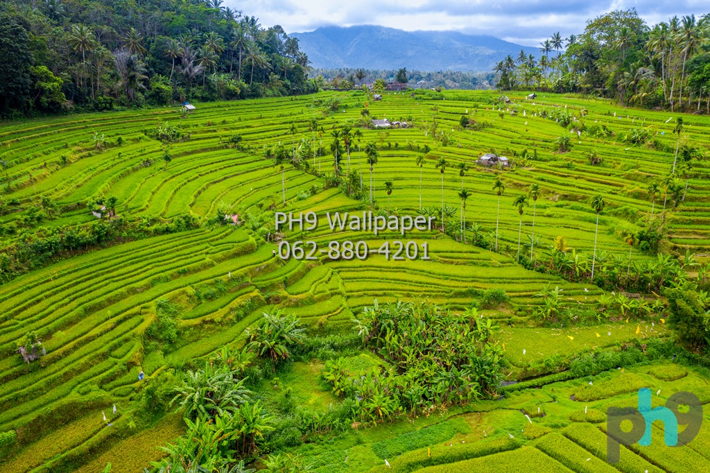 วอลเปเปอร์ภาพพิมพ์ ภาพวิวภูเขา MOU-0090