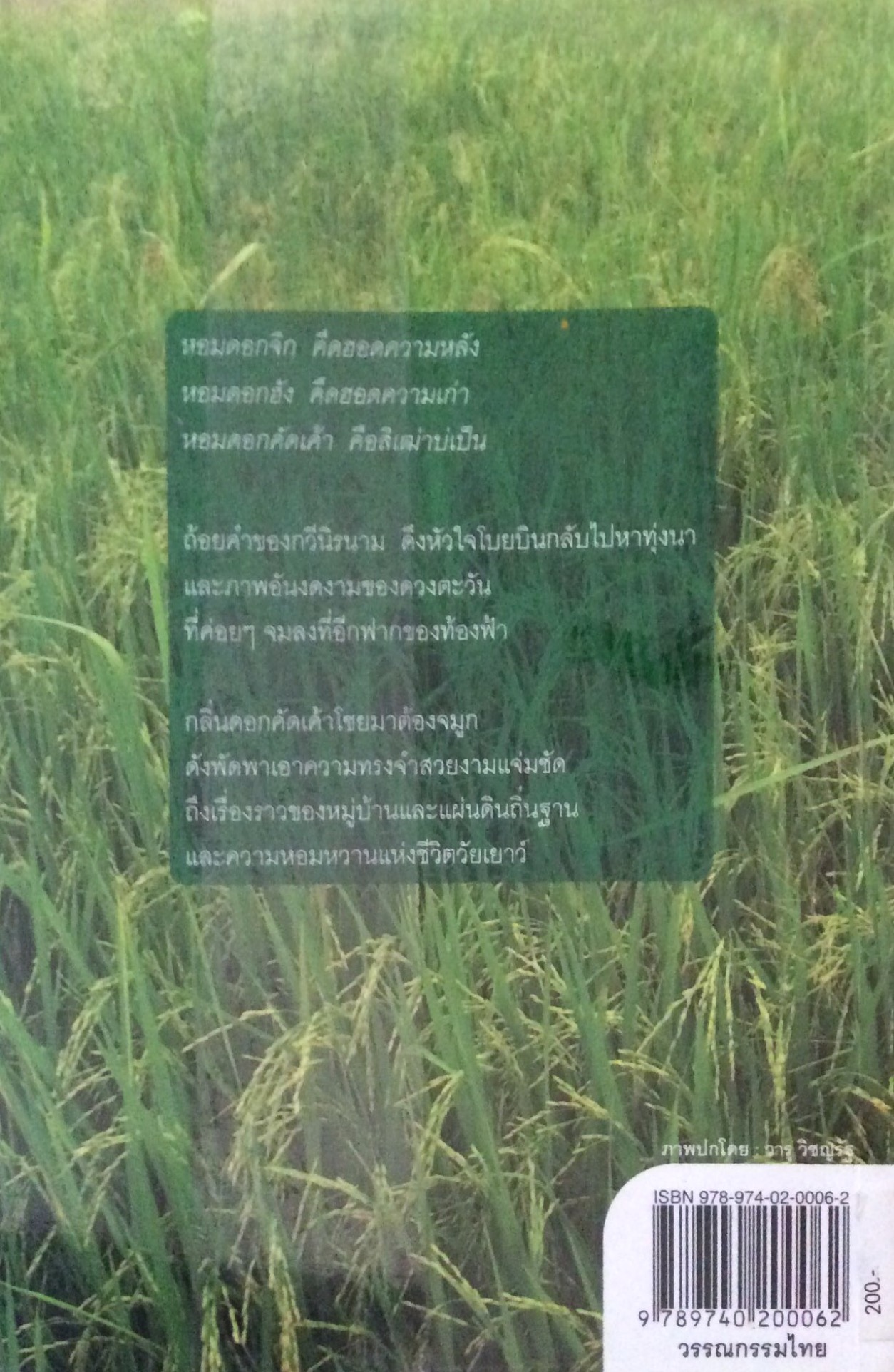 โสกไผ่ใบข้าว เดินผ่านโสกไผ่ ระบัดใบข้าว มีทุ่งพราวแห่งชีวิต จตุพร แพงทองดี