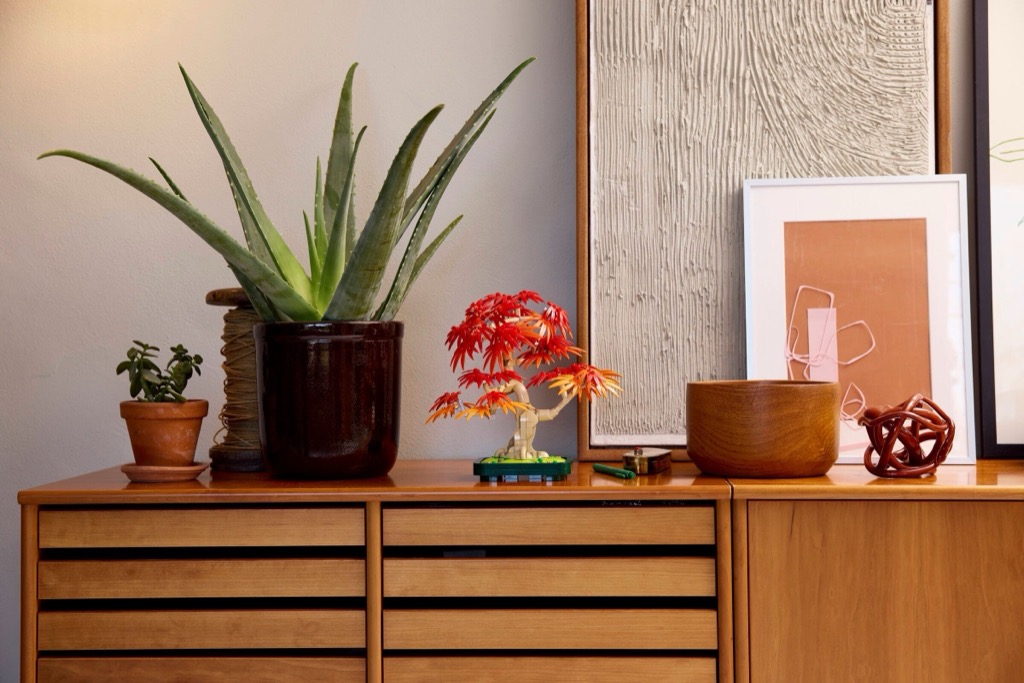 เลโก้ LEGO Exclusives 10348 Japanese Red Maple Bonsai Tree