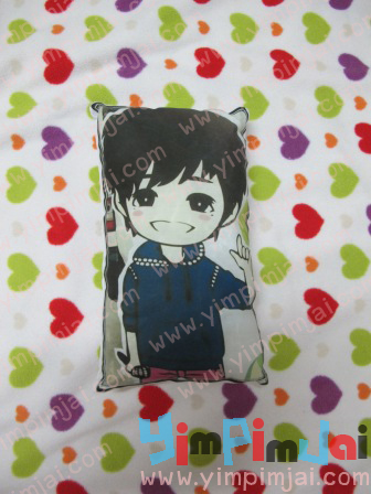 หมอนหนุนขนาดพกพา A4