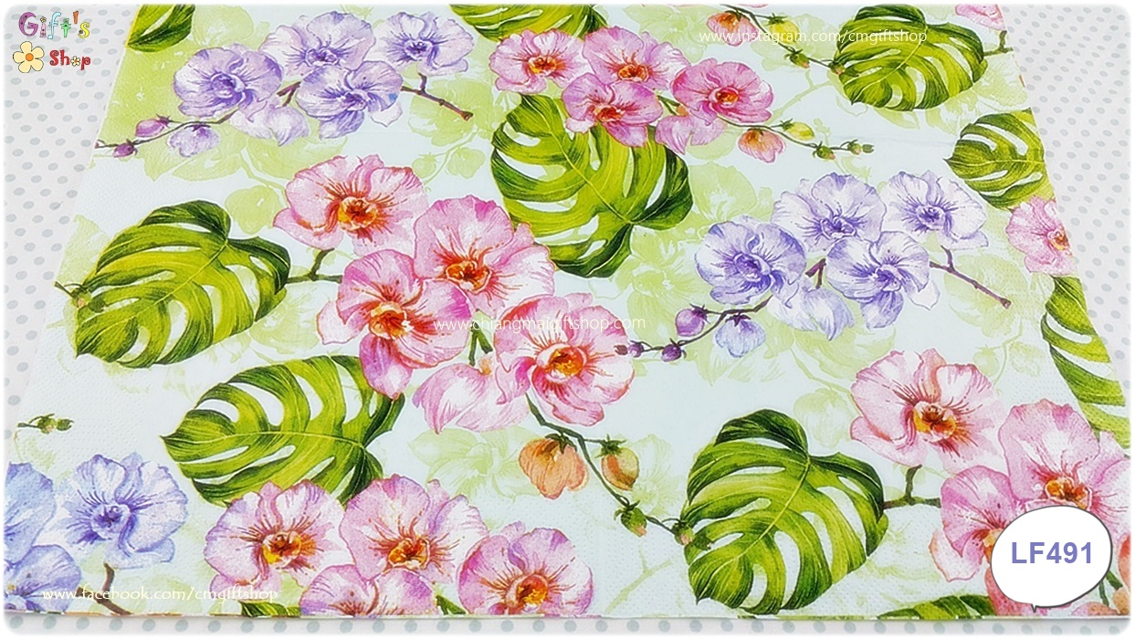 กระดาษแนปกิ้น ลายดอกกล้วยไม้ป่าสีชมพู สีม่วง ใบพลูฉีก พื้นหลังสีเขียวอ่อน Wild Orchid with Monstera