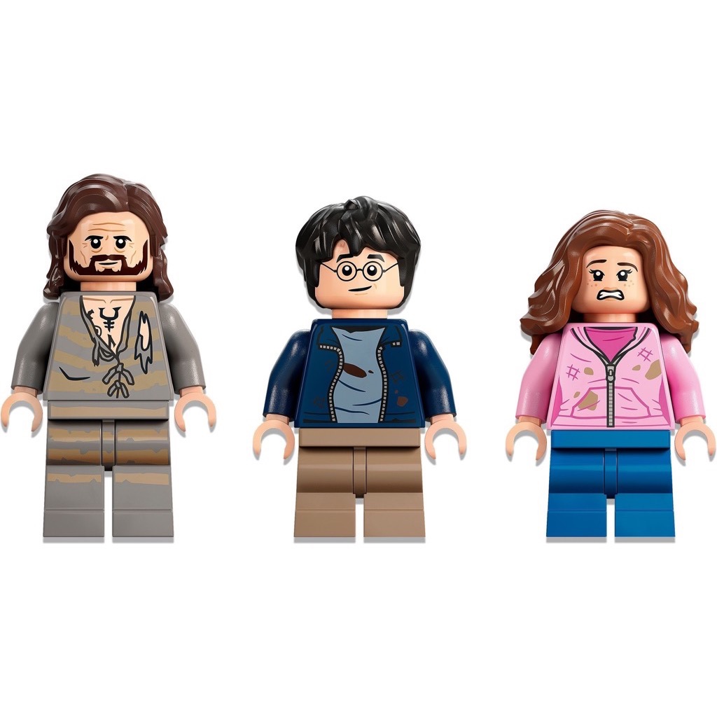 เลโก้ LEGO Harry Potter 76401 Hogwarts Courtyard: Sirius's Rescue