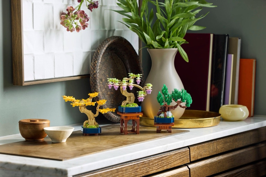 เลโก้ LEGO Exclusives 10373 Botanicals Mini Bonsai Trees