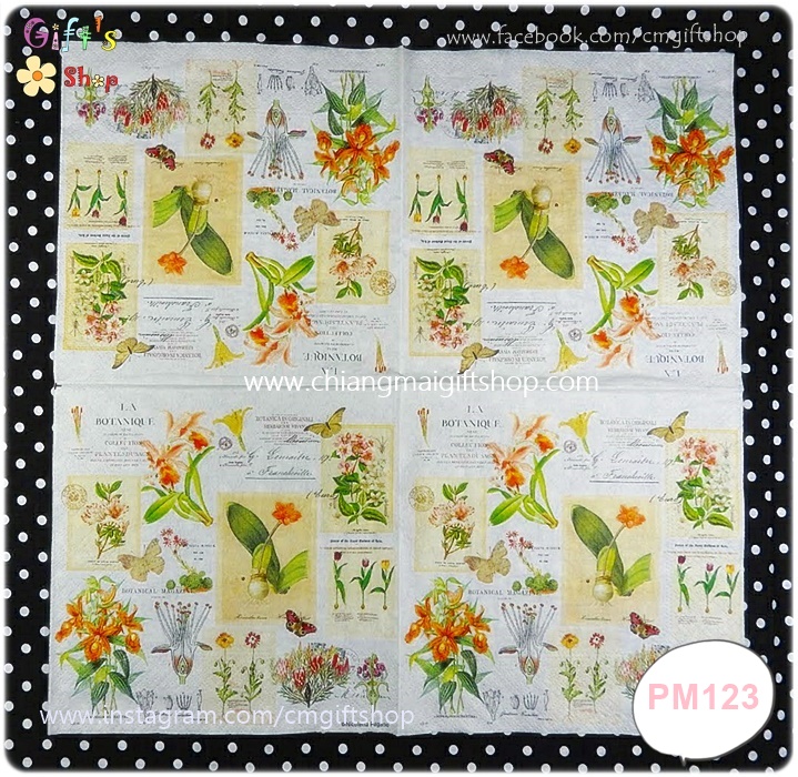 กระดาษแนปกิ้น ลายดอกไม้สีแดง กล้วยไม้ พันธุ์ไม้ พื้นหลังสีขาว Botanique