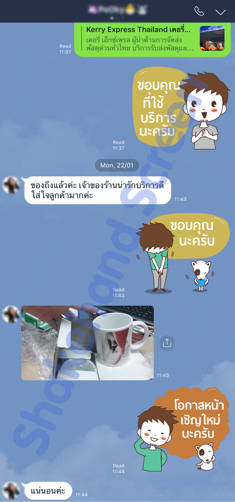 Mug Screen Review