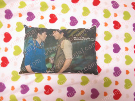 หมอนหนุนขนาดพกพา A4