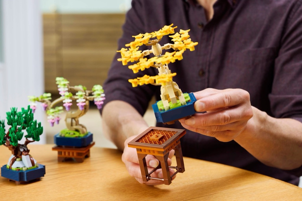เลโก้ LEGO Exclusives 10373 Botanicals Mini Bonsai Trees