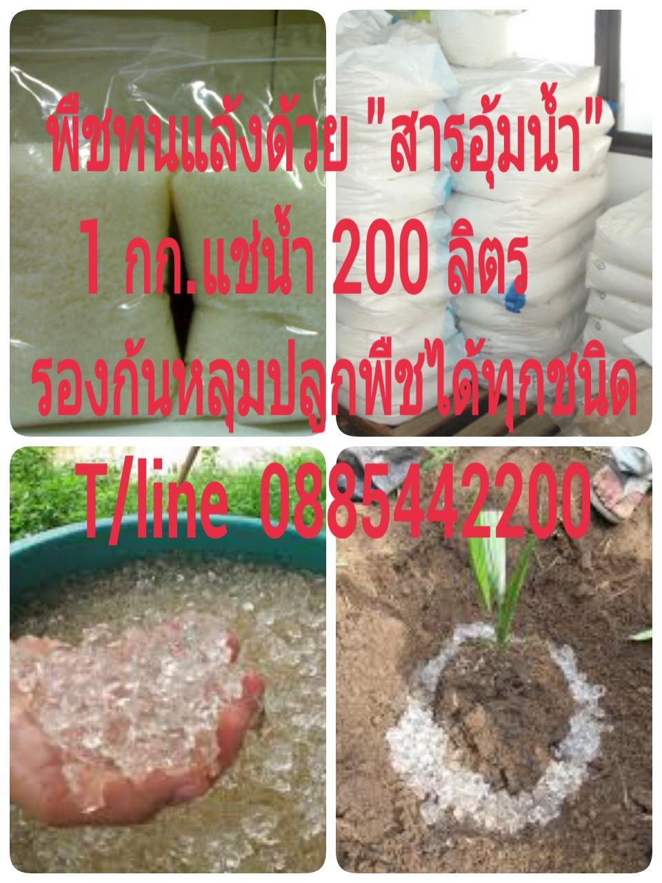 สารอุ้มน้ำปลูกพืชไม่ต้องรดน้ำบ่อย
