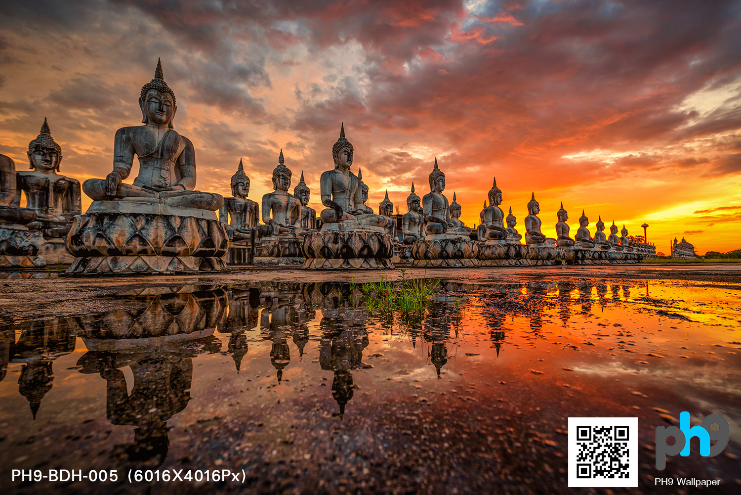 วอลเปเปอร์ภาพพิมพ์ พระพุทธรูป รหัส ตามแบบ PH9-BDH-005