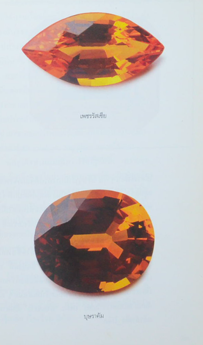 ศรีสรรพ์ อัญมณี มณิขจิต : หลากเรื่องราวของ "อัญมณี" เพื่อคนรัก "อัญมณี"