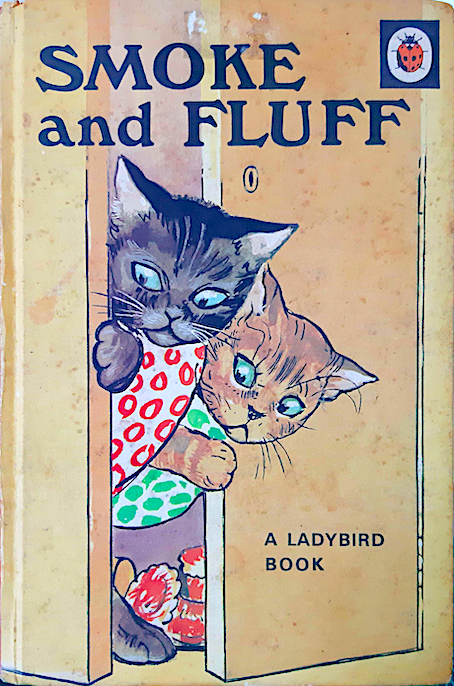 Smoke and Fluff by A ladybiad Book