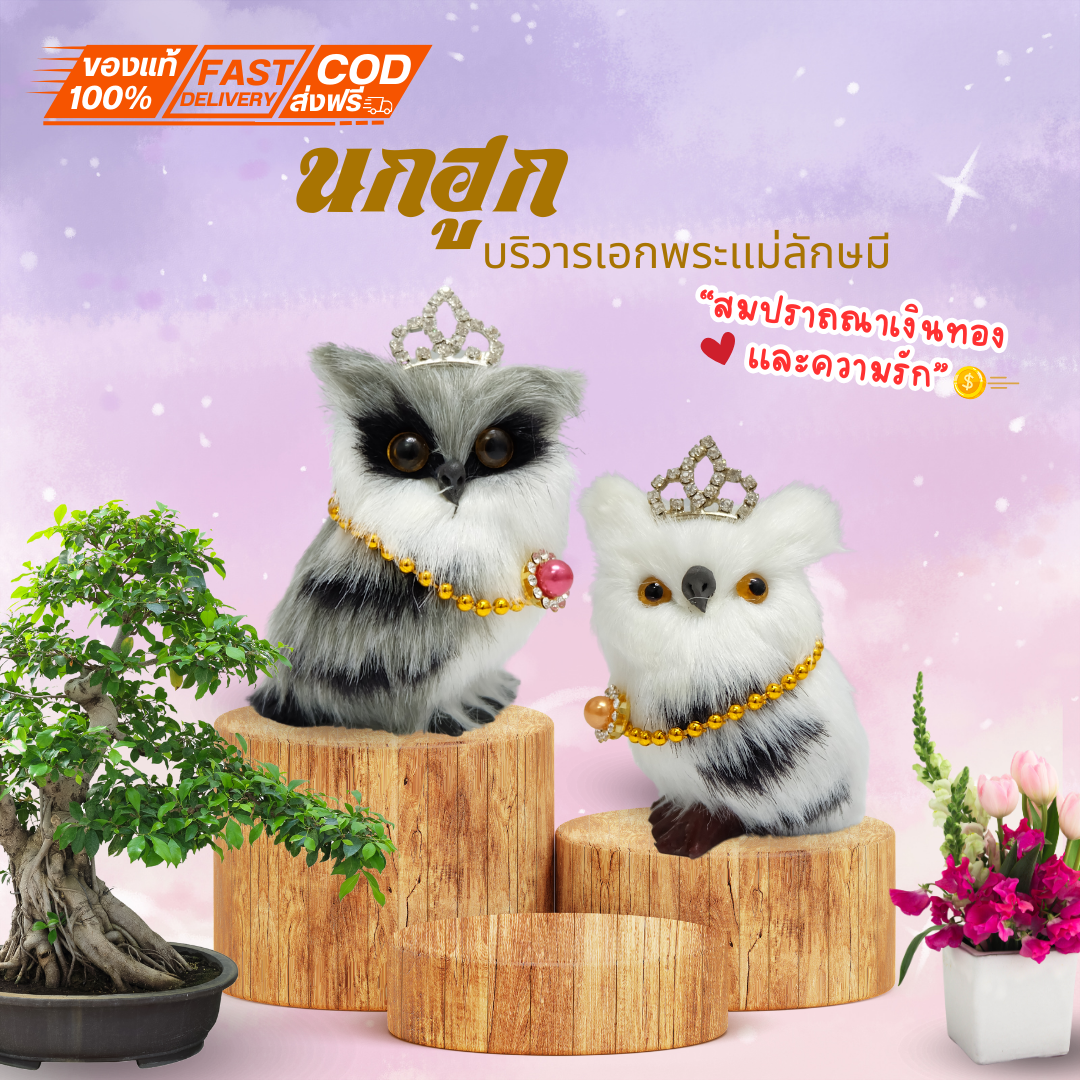 บูชา นกฮูกถวายพระแม่ลักษมี เสริมมิความร่ำรวยเเละความรัก นกฮูกเเบบขนน่ารัก