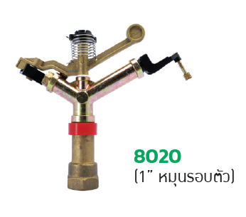 8020