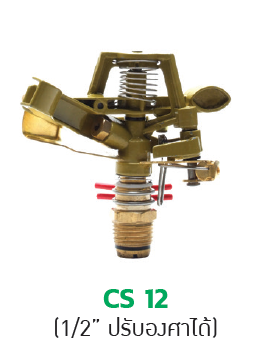 CS 12