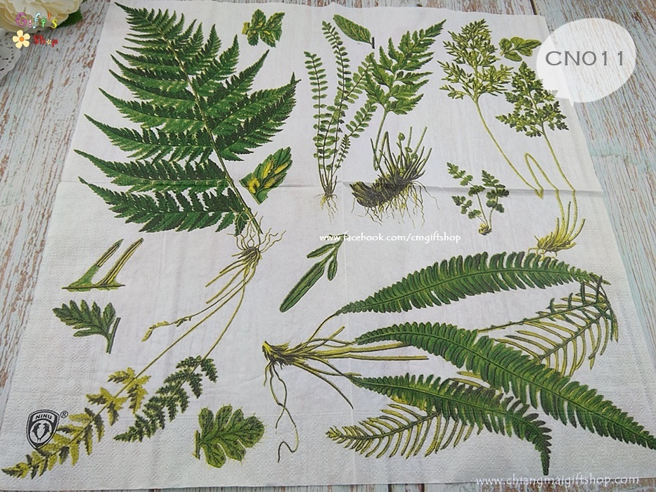 กระดาษแนปกิ้น ลายใบเฟิร์นหลายชนิด ลายใบไม้ พื้นหลังสีขาว