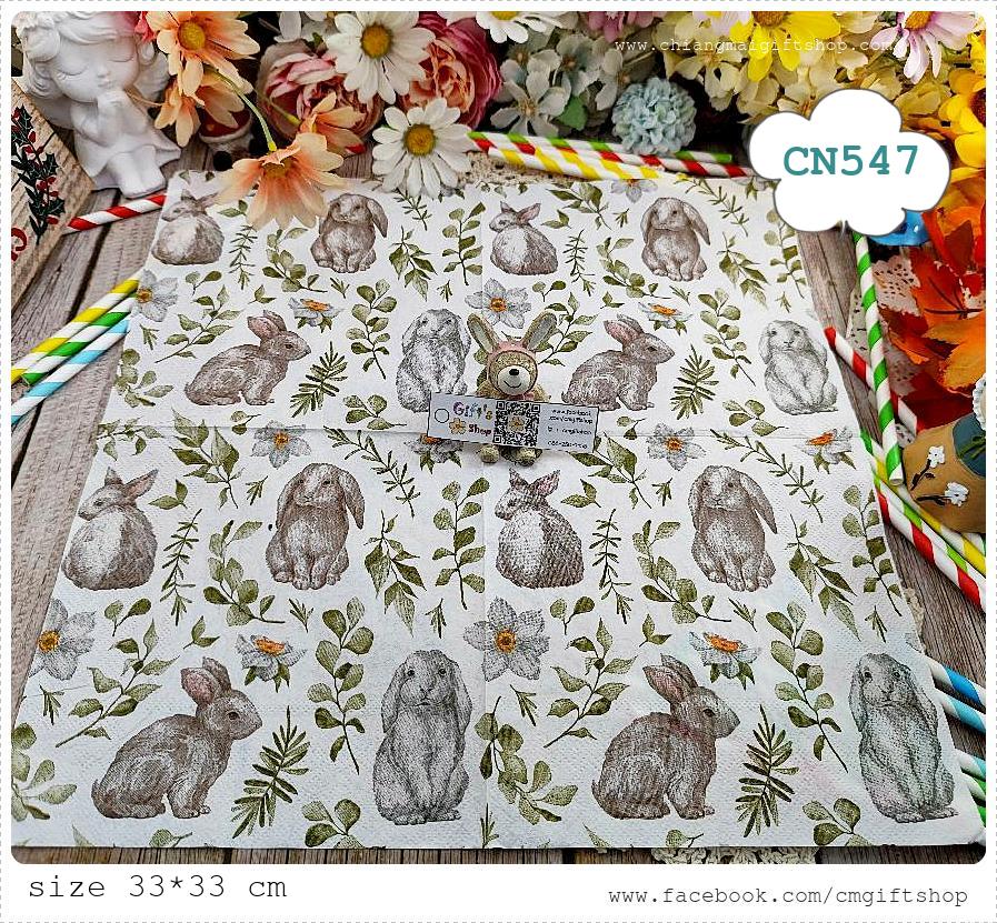 กระดาษแนปกิ้น, ลายกระต่าย, ลายกระต่ายกับดอกไม้, ลายดอกไม้สีขาว, ลายใบไม้, ลายกระต่ายอีสเตอร์, ลายอีสเตอร์, ลายเต็มผืน, ลายวินเทจ, พื้นหลังสีขาว