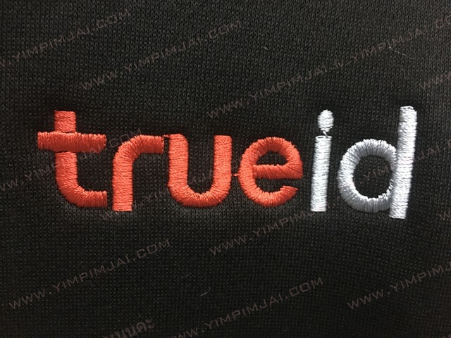 เสื้อฮู้ดปัก true developer