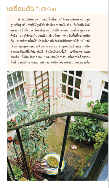 มือใหม่จัดสวนขนาดเล็ก Small Garden for beginners ทิพาพรรณ ศิริเวชฎารักษ์