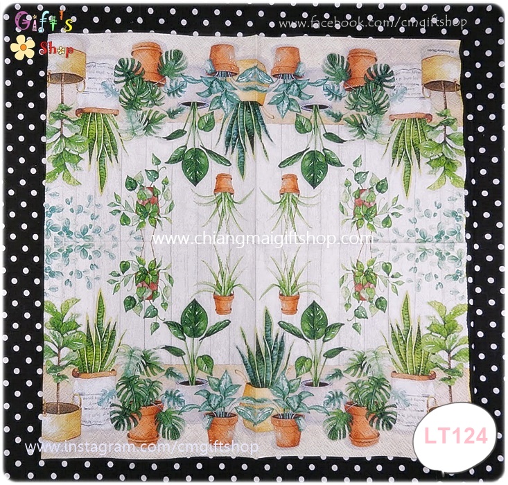 กระดาษแนปกิ้น ลายกระถางไม้ใบ พลูฉีก ว่าน พื้นหลังสีขาว URBAN JUNGLE