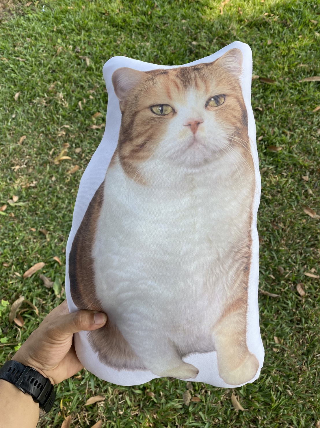 หมอนไดคัท Size L