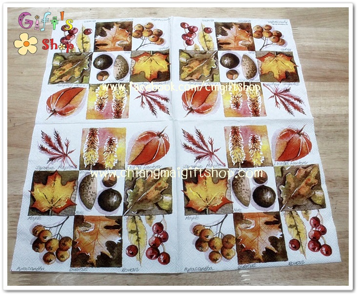 กระดาษแนปกิ้น ลายใบสน ลูกสน ใบเมเปิ้ล 9 แบบ พื้นหลังสีขาว
