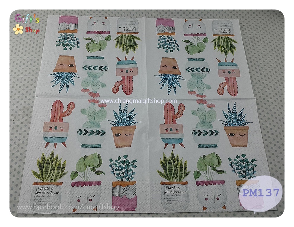 กระดาษแนปกิ้น ลายกระถางใส่แคคตัส ลายแคคตัส ลายกระถางใส่ต้นแคคตัส ลายกระถางน่ารัก Plantes d' Interieur พื้นหลังสีขาว