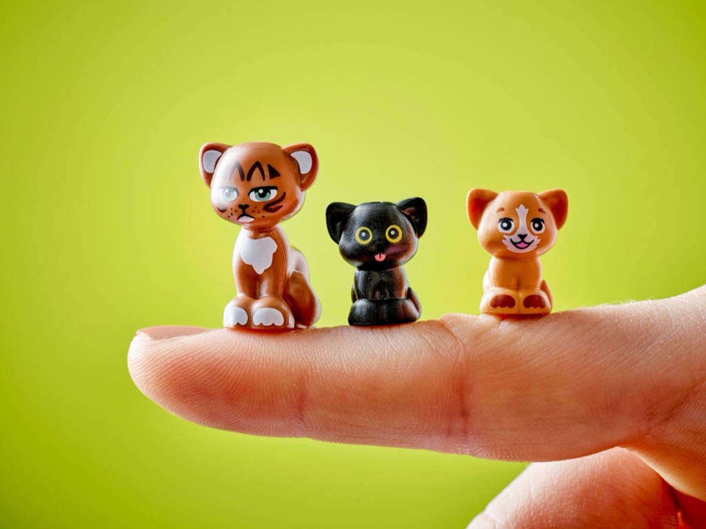 เลโก้ LEGO Friends 42666 Cat Birthday Party & Tree House