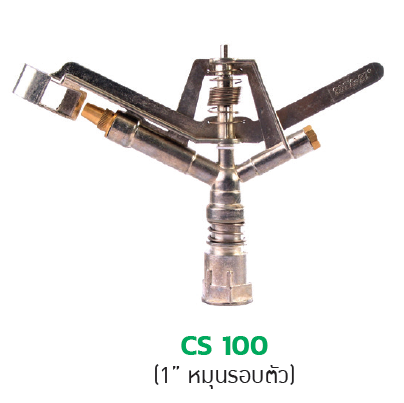 CS 100