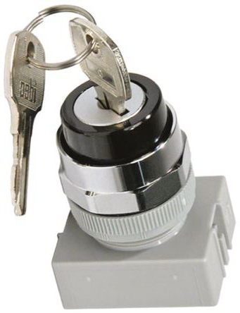 Key Switch ASW2K11 (22mm)