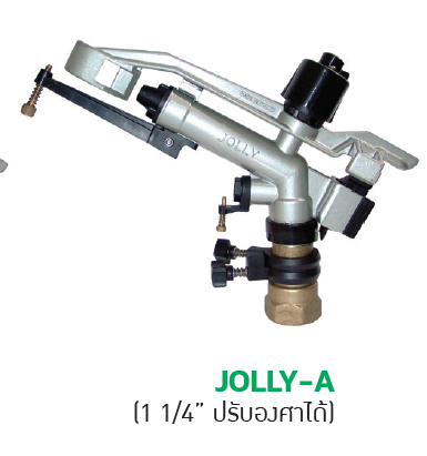 JOLLY-A