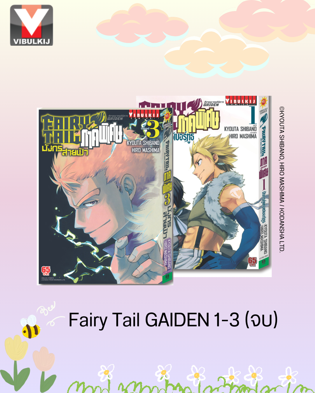 FAIRY TAIL GAIDEN ภาคพิเศษ เล่ม 1-3 จบ