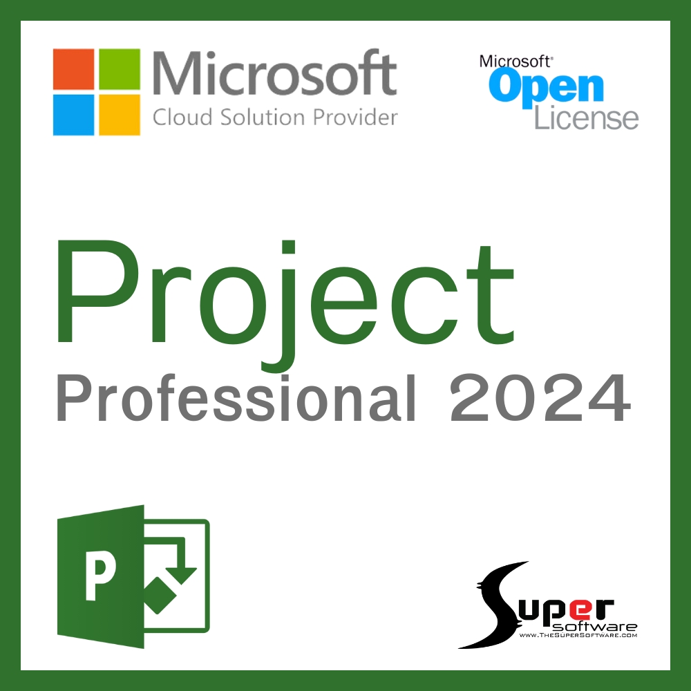 Project Professional 2024 Commercial (Perpetual on CSP)