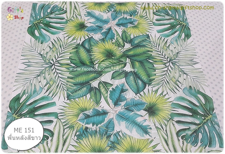 กระดาษแนปกิ้น ลายใบไม้แบบทรอปิคอล ใบไม้สีเขียวหลายแบบ สวนทรอปิคอล ใบไม้แฉกๆ พื้นหลังสีขาว Tropical leaves